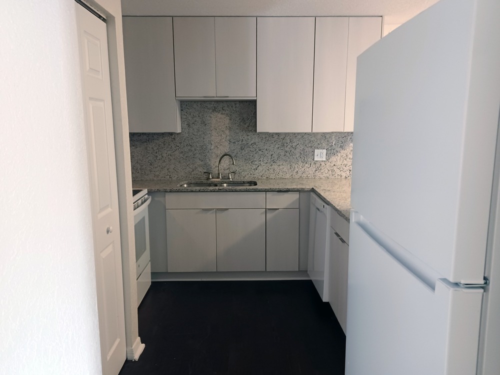 Disston Place Apartment kitchen.