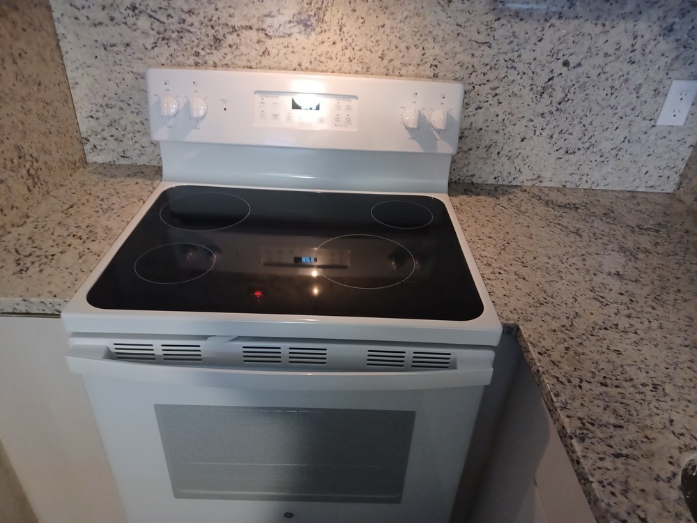 Disston Place Apartment stove.