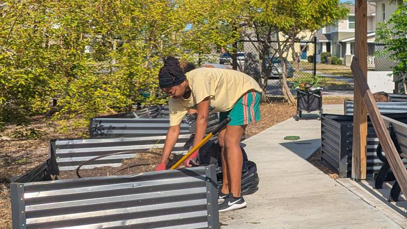 A person gardening in the Jordan Park Community Garden.