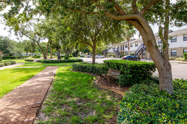 Disston Place Apartments exterior with trees.