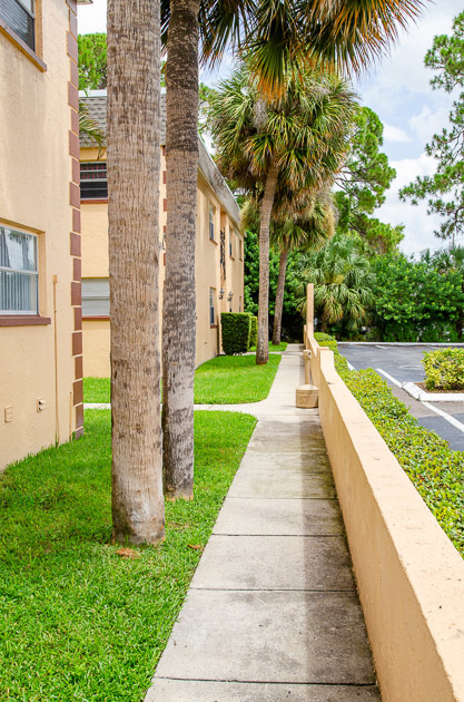 Palm Bayou Apartments