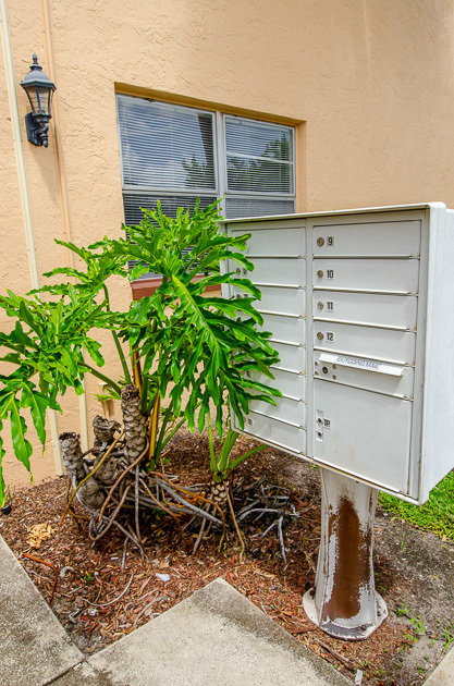 Palm Bayou Apartments