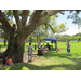 Pavilion and guests under large tree at event.