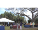 People seated under a tent and a tree in Jordan Park.
