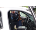 Policeman giving a tour of his police car with a young child pressing buttons on the ceiling of the car.