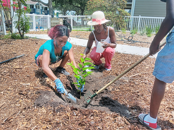 On Saturday, June 10, 2023, phase 1 of the Jordan Park Community Garden restoration project was completed when residents, volunteers and SPHA staff installed the final summer plants for the garden. 