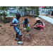 The plants, such as eggplant, oregano, spinach and marigolds, were donated by the Sustainable Urban Agriculture Coalition (SUAC), and were grown locally and organically at Earthsong Nursery.