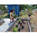 Lisa Pineda, President of the Sustainable Urban Agriculture Coalition (SUAC), teaching kids how to plant.