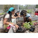Lisa Pineda, president of the Sustainable Urban Agriculture Coalition, teaching kids how to plant.