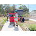 Kids gardening.