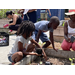  Kids and adults gardening. 