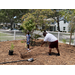  Family gardening. 