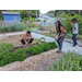 People gardening at Jordan Park Community Garden.