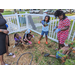 Children gardening at Jordan Park Community Garden.