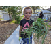 Child holding garden weeds at Jordan Park Community Garden.