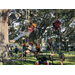 Kids rope climbing at Jordan Park Back to School Event 2023.