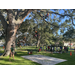 Group of kids having fun rope climbing large oak tree at Jordan Park Back to School Event 2023.