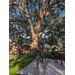 Kids rope climbing in Jordan Park on August 8th, 2023.