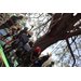 Children learning how to tree climb at the Spring Family Picnic event in Jordan Park on March 26, 2024.