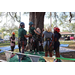 Children being instructed how to tree climb at the Spring Family Picnic event in Jordan Park on March 26, 2024.
