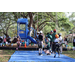Children tree climbing at the Spring Family Picnic event in Jordan Park on March 26, 2024.