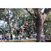 Children tree climbing on a sunny day at the Spring Family Picnic event in Jordan Park on March 26, 2024.