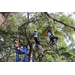 Five children tree climbing at the Spring Family Picnic event in Jordan Park on March 26, 2024.