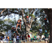 Children tree climbing with Pathfinder Outdoor Education at the Spring Family Picnic event in Jordan Park on March 26, 2024.