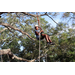 Child tree climbing wearing a light blue shirt at the Spring Family Picnic event in Jordan Park on March 26, 2024.