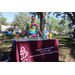 Pinellas County HIPPY table at Spring Family Picnic in Jordan Park.