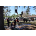 People participating in tree climb experience at Spring Family Picnic in Jordan Park.