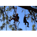 Two children climbing tree at Spring Family Picnic in Jordan Park.