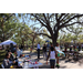 Crowd of people and trees in the background at Spring Family Picnic in Jordan Park.