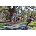  Children climbing a tree with a tarp on the ground at Back to School Event in Jordan Park 2025. 