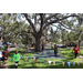  Children and large tree at Back to School Event in Jordan Park 2025. 