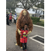  Man dressed as Bigfoot and a child dressed as a firefighter. 