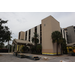  Front exterior of The Edward White Campus and palm trees in November 2025. 