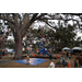  Children participating in a tree climb activity at the Very Merry Holiday Party in Jordan Park. 