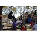  Youth and adults participating in a tree climb activity at the Spring Family Picnic event. 