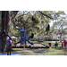  Youth and adults participating in a tree climb activity at the Spring Family Picnic event in Jordan Par with a playground in the background. 