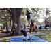  Youth and adults participating in a tree climb activity at the Spring Family Picnic event. 