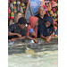  Three students at a touch-tank at The Florida Aquarium in Tampa. 