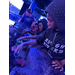  Youth at a touch-tank at The Florida Aquarium in Tampa. 
